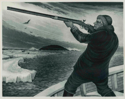 The seabird hunter