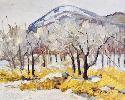 Winter landscape